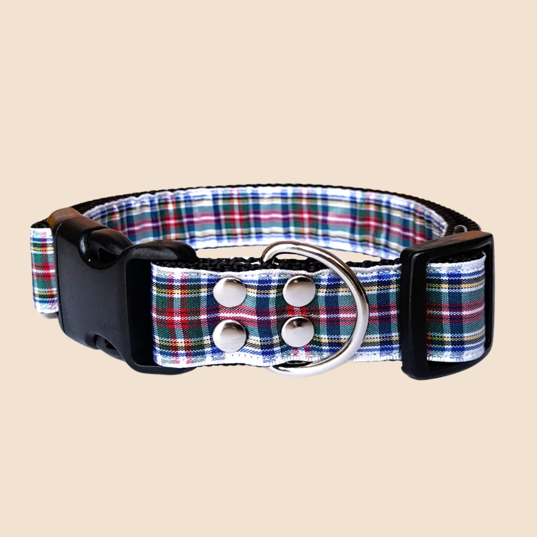 Dress Stewart Tartan Collar - Wiggly Pup Bandana
