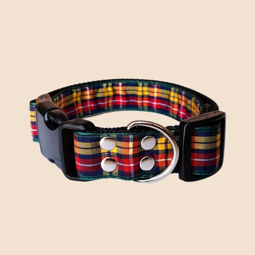 Buchanan Tartan Collar - Wiggly Pup Bandana
