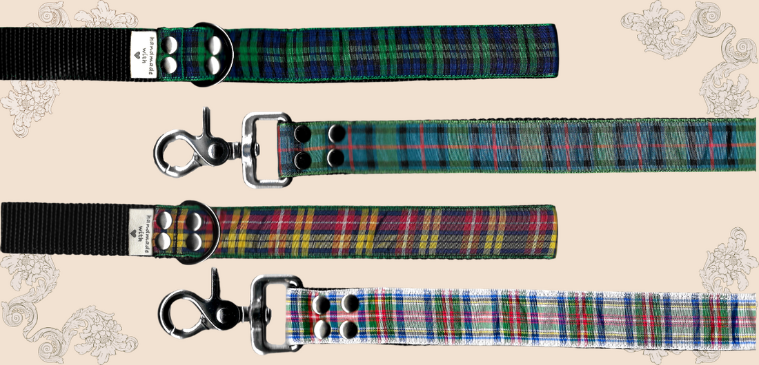 What Length Should I Choose for My Dog's Leash?